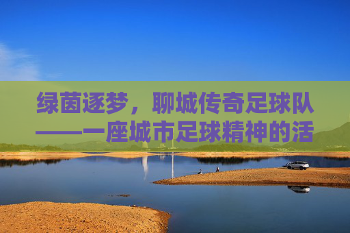 绿茵逐梦,聊城传奇足球队——一座城市足球精神的活化石与传承者,绿茵逐梦,聊城传奇足球队——一座城市足球精神的活化石与传承者