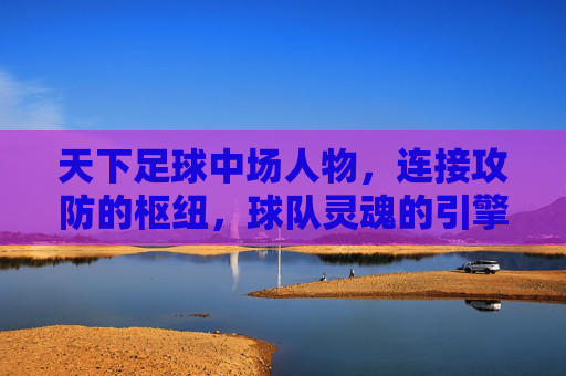 天下足球中场人物，连接攻防的枢纽，球队灵魂的引擎——从经典到现代的演变与传承，天下足球中场人物，连接攻防的枢纽，球队灵魂的引擎——从经典到现代的演变与传承