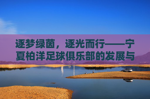 逐梦绿茵，逐光而行——宁夏柏洋足球俱乐部的发展与时代担当，逐梦绿茵，逐光而行——宁夏柏洋足球俱乐部的发展与时代担当