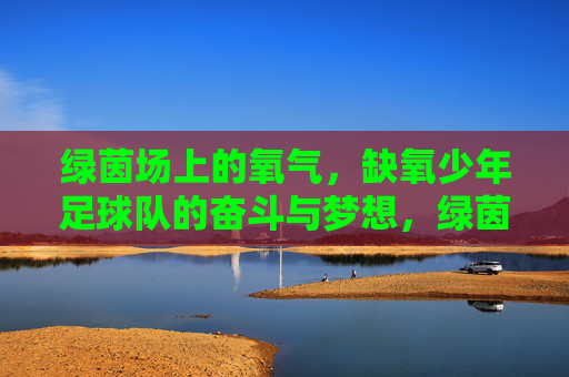 绿茵场上的氧气,缺氧少年足球队的奋斗与梦想,绿茵场上的氧气,缺氧少年足球队的奋斗与梦想