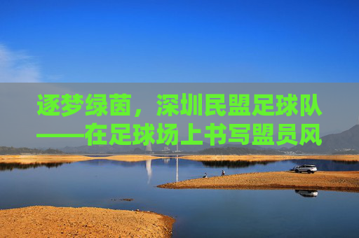 逐梦绿茵,深圳民盟足球队——在足球场上书写盟员风采与团结力量,逐梦绿茵,深圳民盟足球队——在足球场上书写盟员风采与团结力量