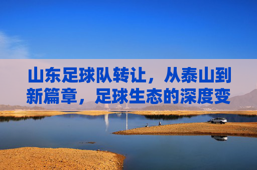 山东足球队转让，从泰山到新篇章，足球生态的深度变革与未来展望，山东足球队转让，从泰山到新篇章，足球生态的深度变革与未来展望
