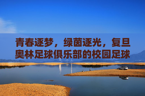 青春逐梦，绿茵逐光，复旦奥林足球俱乐部的校园足球新篇章，青春逐梦，绿茵逐光，复旦奥林足球俱乐部的校园足球新篇章