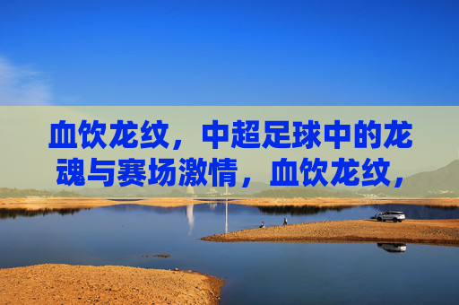 血饮龙纹，中超足球中的龙魂与赛场激情，血饮龙纹，中超足球中的龙魂与赛场激情