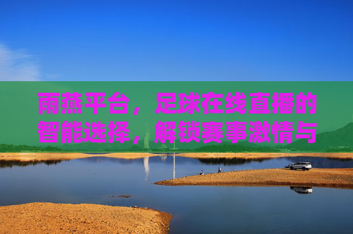 雨燕平台，足球在线直播的智能选择，解锁赛事激情与高清视觉盛宴，雨燕平台，足球在线直播的智能选择，解锁赛事激情与高清视觉盛宴