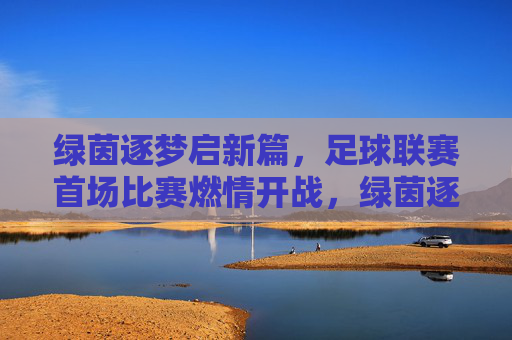 绿茵逐梦启新篇，足球联赛首场比赛燃情开战，绿茵逐梦启新篇，足球联赛首场比赛燃情开战