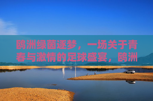 鸥洲绿茵逐梦，一场关于青春与激情的足球盛宴，鸥洲绿茵逐梦，一场关于青春与激情的足球盛宴