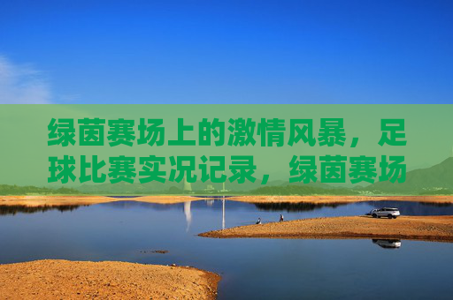 绿茵赛场上的激情风暴，足球比赛实况记录，绿茵赛场上的激情风暴，足球比赛实况记录
