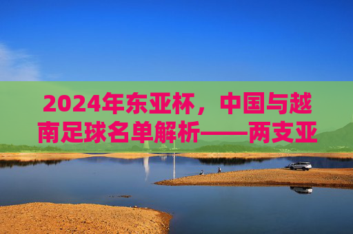 2024年东亚杯,中国与越南足球名单解析——两支亚洲足球劲旅的阵容特点与战术布局,2024年东亚杯中国与越南足球名单解析,阵容特点与战术布局分析