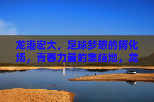 龙港宏大，足球梦想的孵化场，青春力量的集结地，龙港宏大，足球梦想的孵化场，青春力量的集结地