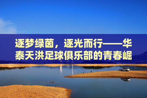 逐梦绿茵，逐光而行——华泰天洪足球俱乐部的青春崛起与时代答卷，逐梦绿茵，逐光而行——华泰天洪足球俱乐部的青春崛起与时代答卷