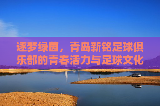 逐梦绿茵，青岛新铭足球俱乐部的青春活力与足球文化传承，逐梦绿茵，青岛新铭足球俱乐部的青春活力与足球文化传承