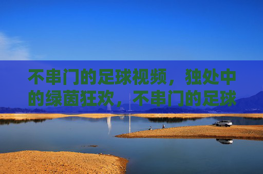不串门的足球视频,独处中的绿茵狂欢,不串门的足球视频,独处中的绿茵狂欢