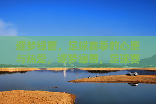 逐梦绿茵，足球赛季的心愿与热爱，逐梦绿茵，足球赛季的心愿与热爱