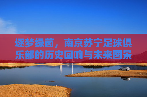 逐梦绿茵，南京苏宁足球俱乐部的历史回响与未来图景，逐梦绿茵，南京苏宁足球俱乐部的历史回响与未来图景