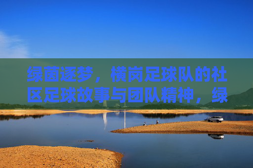 绿茵逐梦，横岗足球队的社区足球故事与团队精神，绿茵逐梦，横岗足球队的社区足球故事与团队精神