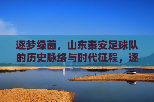 逐梦绿茵，山东秦安足球队的历史脉络与时代征程，逐梦绿茵，山东秦安足球队的历史脉络与时代征程