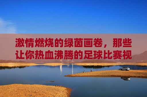 激情燃烧的绿茵画卷，那些让你热血沸腾的足球比赛视频，每一帧都是心跳的共鸣，激情燃烧的绿茵画卷，热血足球比赛视频，每一帧都是心跳的共鸣