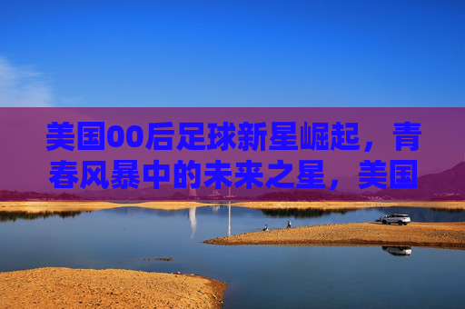 美国00后足球新星崛起，青春风暴中的未来之星，美国00后足球新星崛起，青春风暴中的未来之星