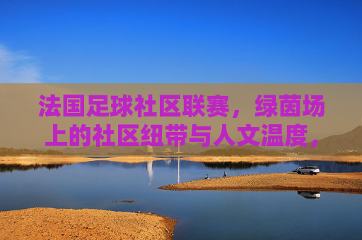 法国足球社区联赛，绿茵场上的社区纽带与人文温度，法国足球社区联赛，绿茵场上的社区纽带与人文温度