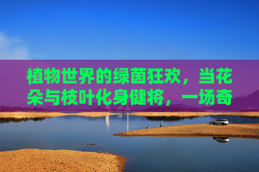 植物世界的绿茵狂欢,当花朵与枝叶化身健将,一场奇妙的足球盛宴,植物世界的绿茵狂欢,花朵与枝叶的奇妙足球盛宴