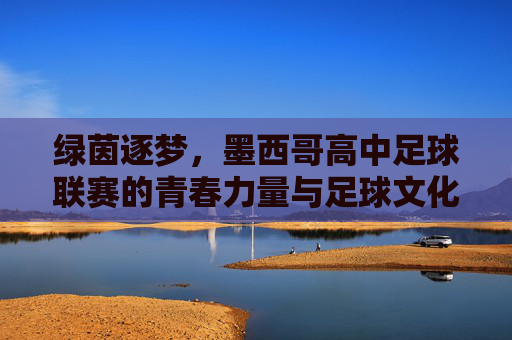 绿茵逐梦，墨西哥高中足球联赛的青春力量与足球文化传承，绿茵逐梦，墨西哥高中足球联赛的青春力量与足球文化传承