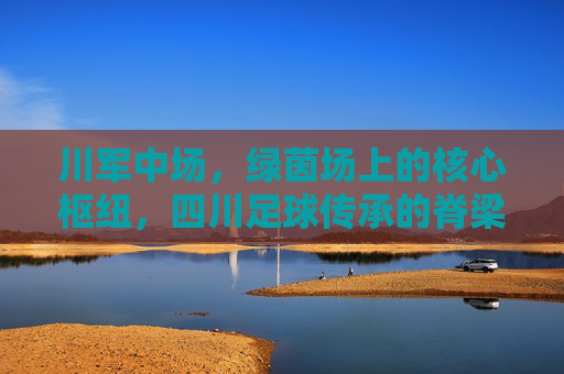 川军中场，绿茵场上的核心枢纽，四川足球传承的脊梁，川军中场，绿茵场上的核心枢纽，四川足球传承的脊梁