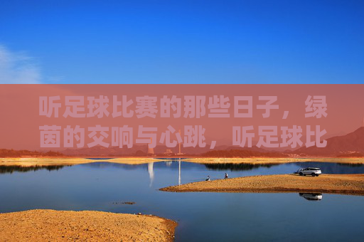听足球比赛的那些日子，绿茵的交响与心跳，听足球比赛的那些日子，绿茵的交响与心跳