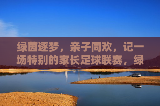 绿茵逐梦，亲子同欢，记一场特别的家长足球联赛，绿茵逐梦，亲子同欢，记一场特别的家长足球联赛