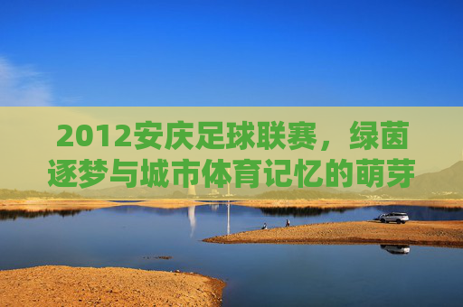 2012安庆足球联赛,绿茵逐梦与城市体育记忆的萌芽,2012安庆足球联赛,绿茵逐梦与城市体育记忆的萌芽