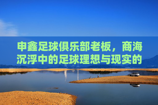 申鑫足球俱乐部老板，商海沉浮中的足球理想与现实的博弈——探寻申鑫足球的老板与球的共生之道，申鑫足球俱乐部老板，商海沉浮中的足球理想与现实博弈——探寻老板与足球的共生之道