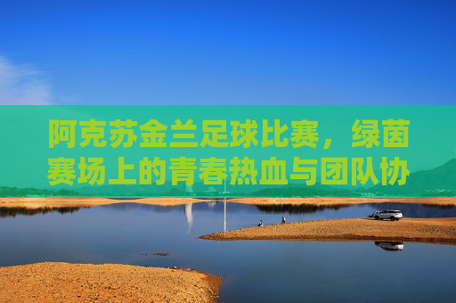 阿克苏金兰足球比赛,绿茵赛场上的青春热血与团队协作