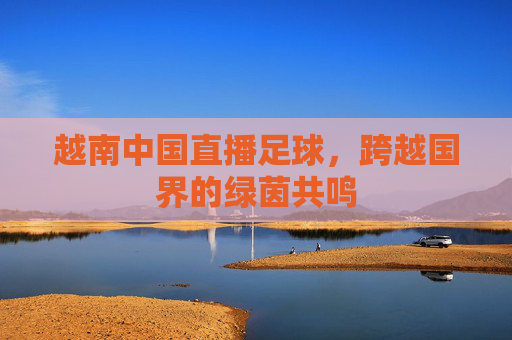 越南中国直播足球,跨越国界的绿茵共鸣