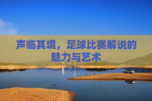 声临其境,足球比赛解说的魅力与艺术
