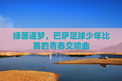 绿茵逐梦，巴萨足球少年比赛的青春交响曲