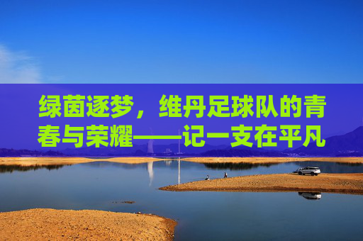 绿茵逐梦,维丹足球队的青春与荣耀——记一支在平凡中闪耀的足球力量