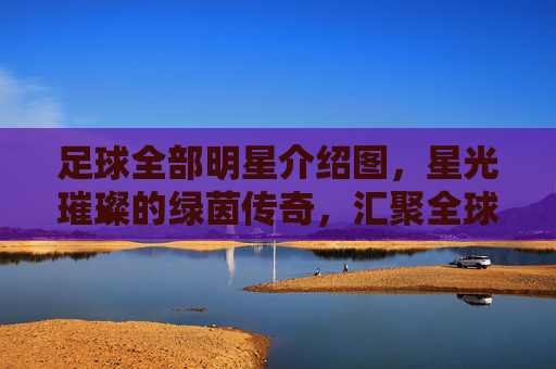 足球全部明星介绍图,星光璀璨的绿茵传奇,汇聚全球足球史上的顶级球员