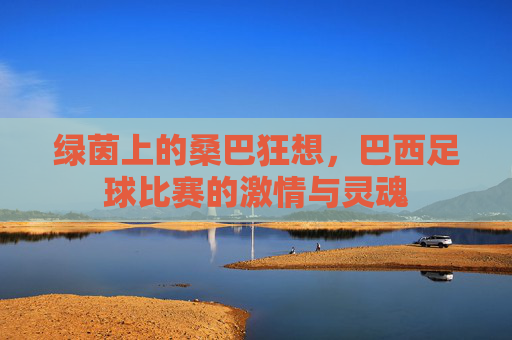 绿茵上的桑巴狂想,巴西足球比赛的激情与灵魂