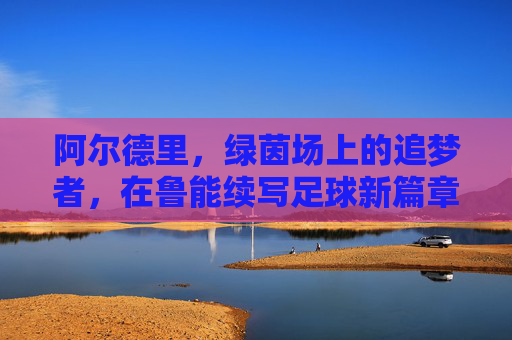 阿尔德里，绿茵场上的追梦者，在鲁能续写足球新篇章