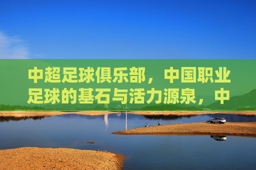 中超足球俱乐部，中国职业足球的基石与活力源泉，中超足球俱乐部，中国职业足球的基石与活力源泉