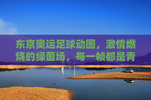 东京奥运足球动图,激情燃烧的绿茵场,每一帧都是青春与梦想的碰撞