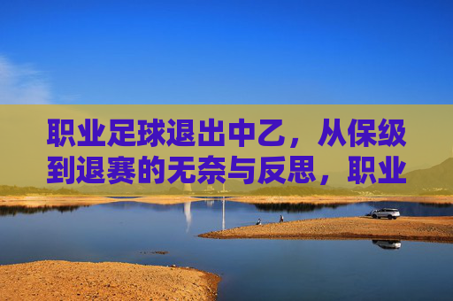 职业足球退出中乙,从保级到退赛的无奈与反思,职业足球退出中乙,从保级到退赛的无奈与反思