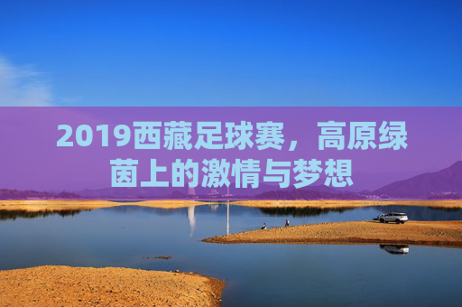 2019西藏足球赛，高原绿茵上的激情与梦想