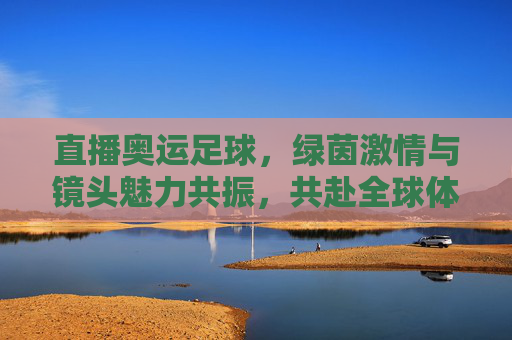 直播奥运足球，绿茵激情与镜头魅力共振，共赴全球体育盛宴，直播奥运足球，绿茵激情与镜头魅力共振，共赴全球体育盛宴
