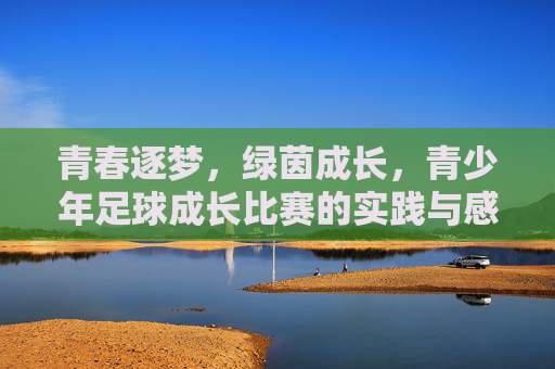 青春逐梦，绿茵成长，青少年足球成长比赛的实践与感悟，青春逐梦，绿茵成长，青少年足球成长比赛的实践与感悟