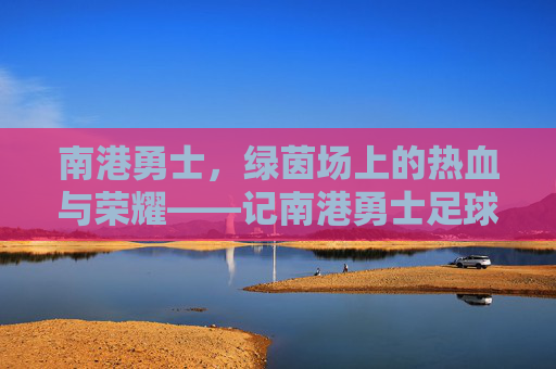 南港勇士，绿茵场上的热血与荣耀——记南港勇士足球队的不懈奋斗