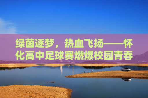 绿茵逐梦，热血飞扬——怀化高中足球赛燃爆校园青春