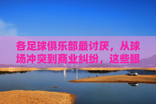 各足球俱乐部最讨厌，从球场冲突到商业纠纷，这些眼中钉为何让俱乐部头疼？
