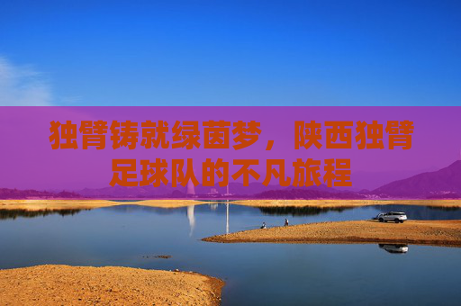 独臂铸就绿茵梦，陕西独臂足球队的不凡旅程