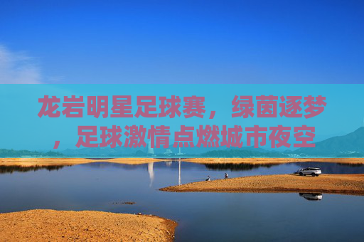 龙岩明星足球赛，绿茵逐梦，足球激情点燃城市夜空